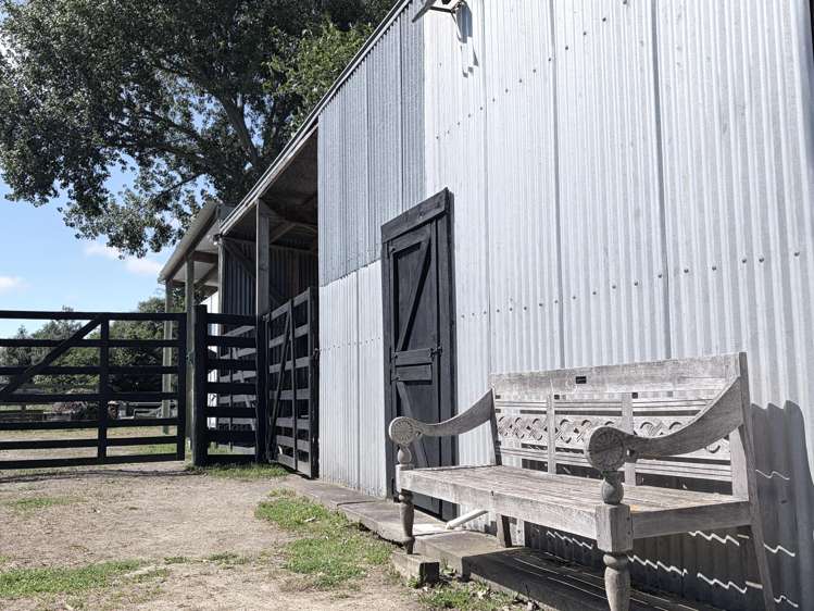 30 Parrs Road Bunnythorpe_7