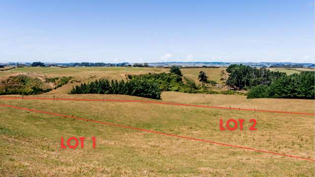 0n Douglas Street Sections Hawera_4