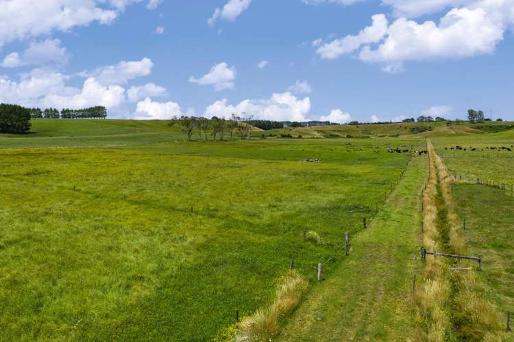 Bankier Road Horsham Downs_15