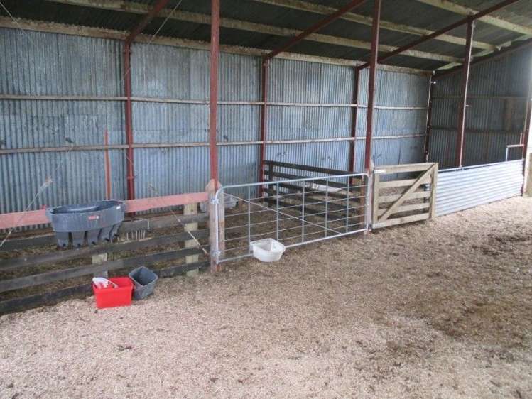 296a Pickering Road Tamahere_11