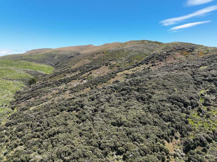 309a Mckenzie Road Lumsden Surrounds_5