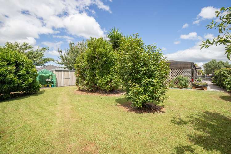 45 Benner Drive Ngatea_20