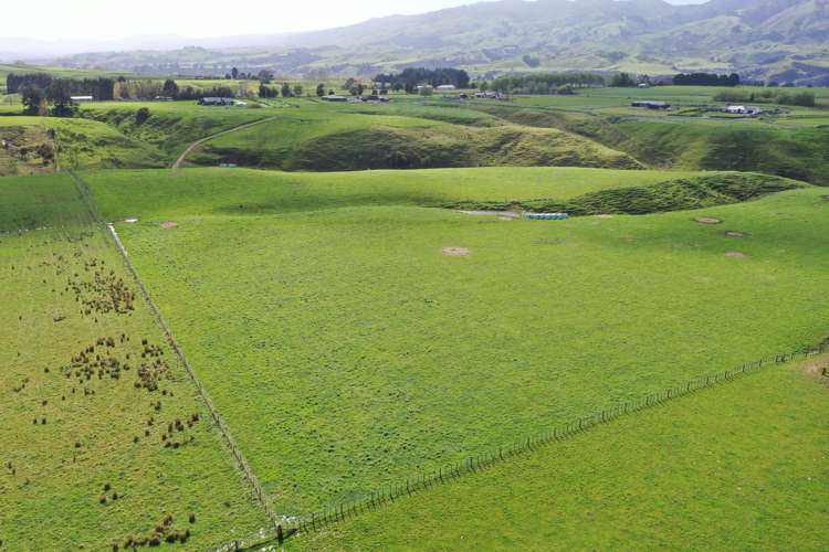 Spur Road Ashhurst_5