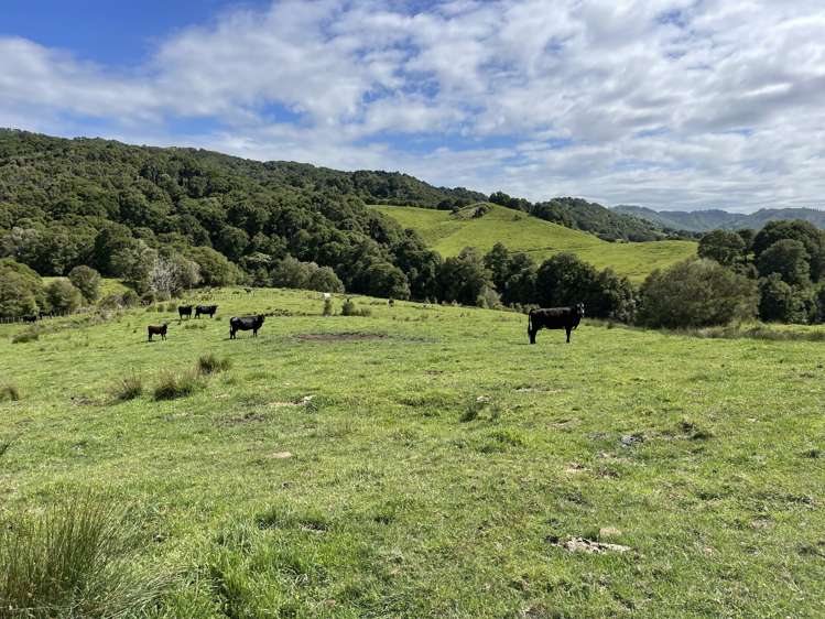 851 Awamate Road Frasertown_15