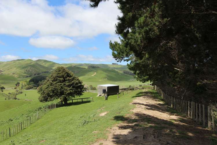 13151 Puketawa Road Tiraumea_25