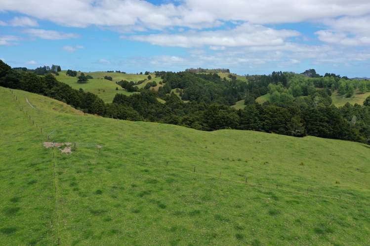 Lot 2/347 Porter Road Paparoa_8