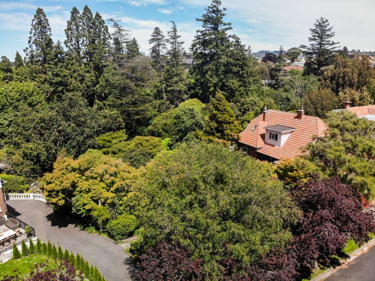 52 Grendon Street Maori Hill_14