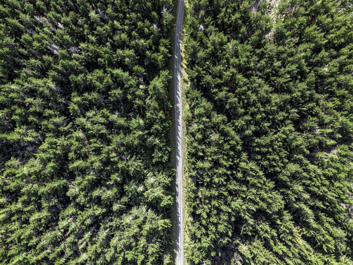 State Highway 1, Waitiki Landing_2