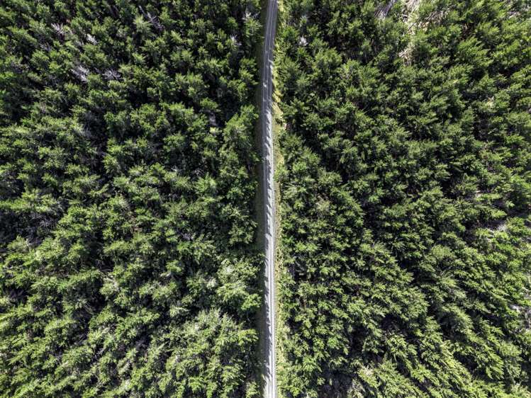 State Highway 1, Waitiki Landing Te Kao_6