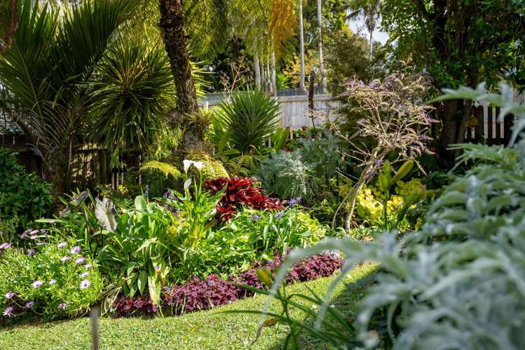 19 Eastglen Road Glen Eden_16
