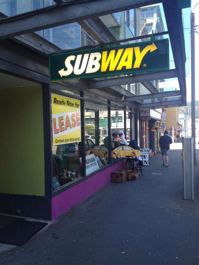 140 Vivian Street Te Aro_4