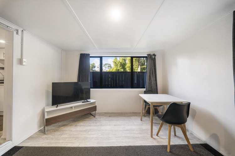 86 Willerton Avenue New Lynn_12