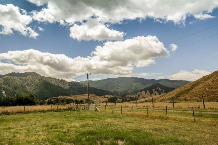 Camerons Road Havelock_10