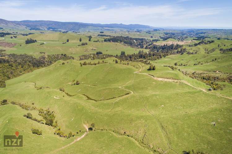 482 Table Flat Road Apiti_10