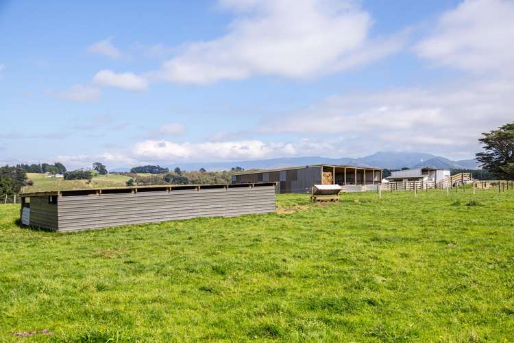 200 Garfield Road Norsewood_8