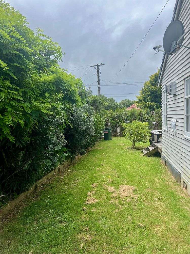 33 Duke Street Mount Roskill_10
