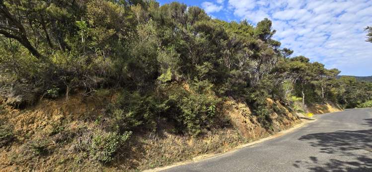 174 Shoal Bay Road Great Barrier Island (Tryphena)_6