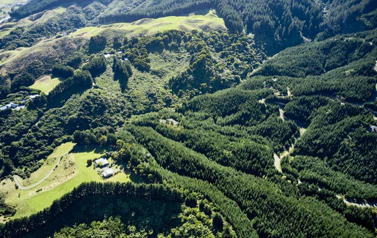 Fernhill Drive Judgeford_17