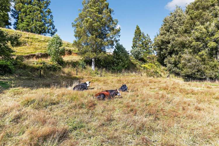 118 McPhail Road Oropi_18