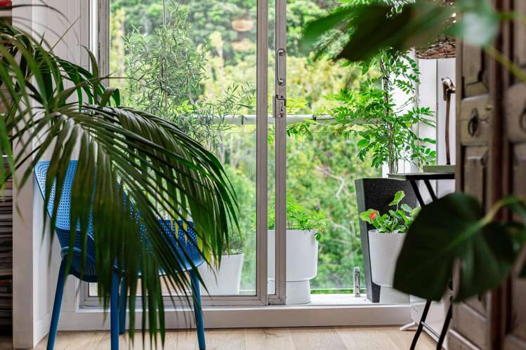 7A/19 Cottleville Terrace Thorndon_6