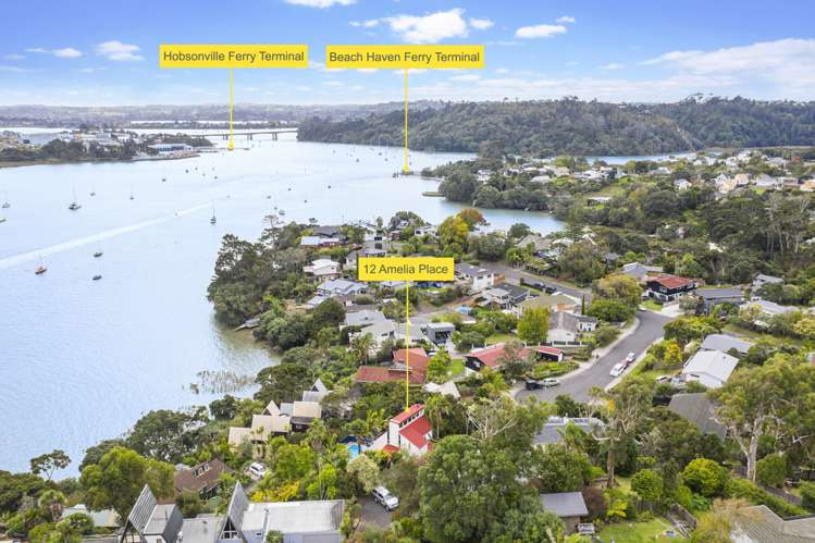 12 Amelia Place Beach Haven_14