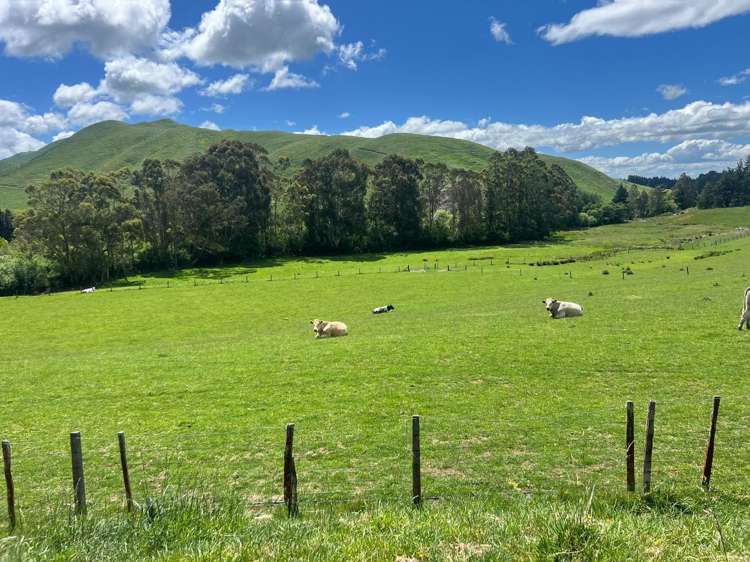 Lot Lot 1/9 Tamaki East Road Dannevirke_18