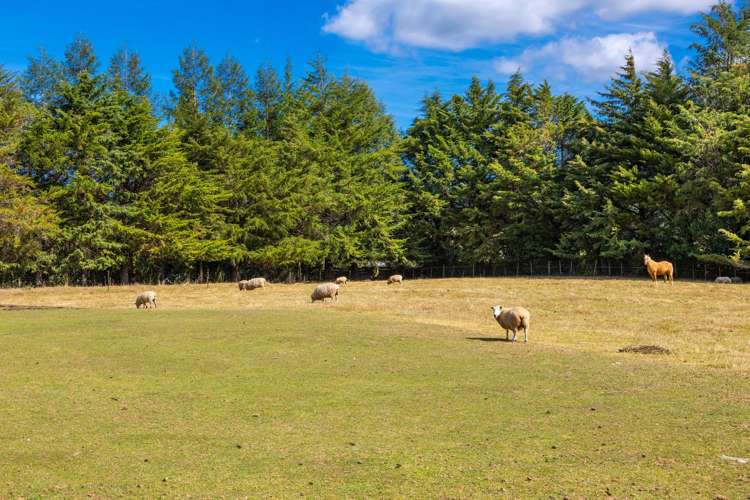 12 Prices Road Havelock_47