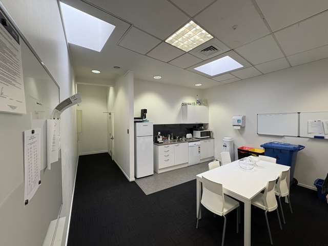 305 Ponsonby Road Ponsonby_3