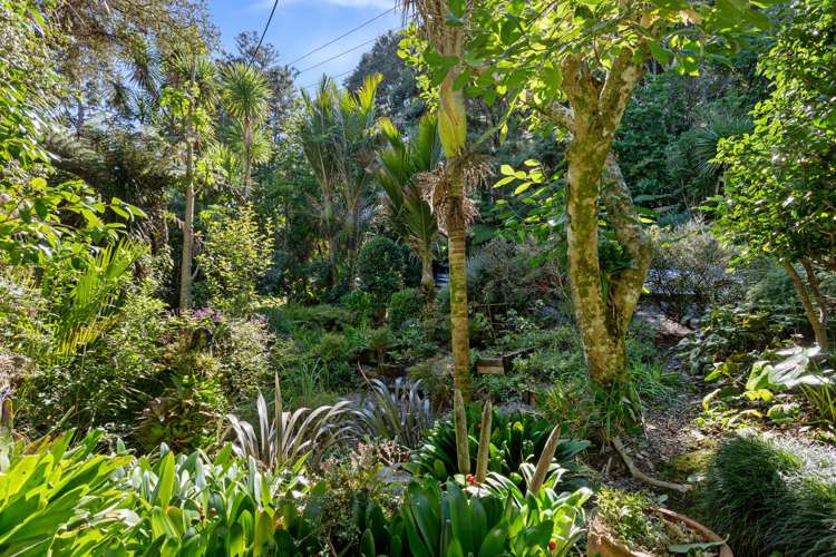 8 Valley View Road Titirangi_18