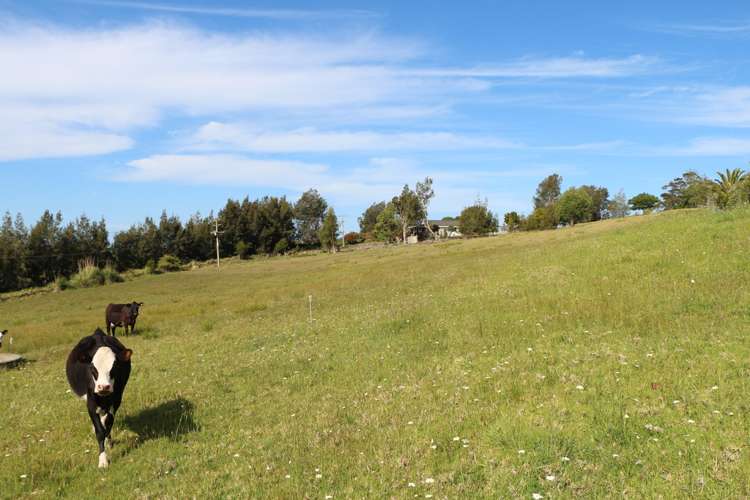 State Highway 10 Taipa_1