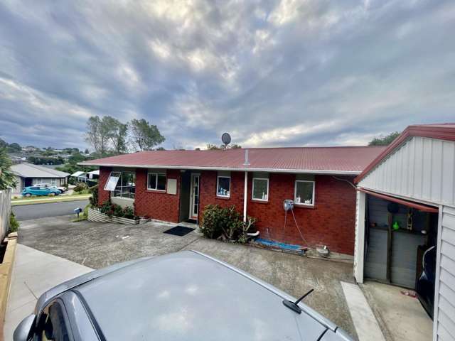 17 Heaphy Street 2169_2