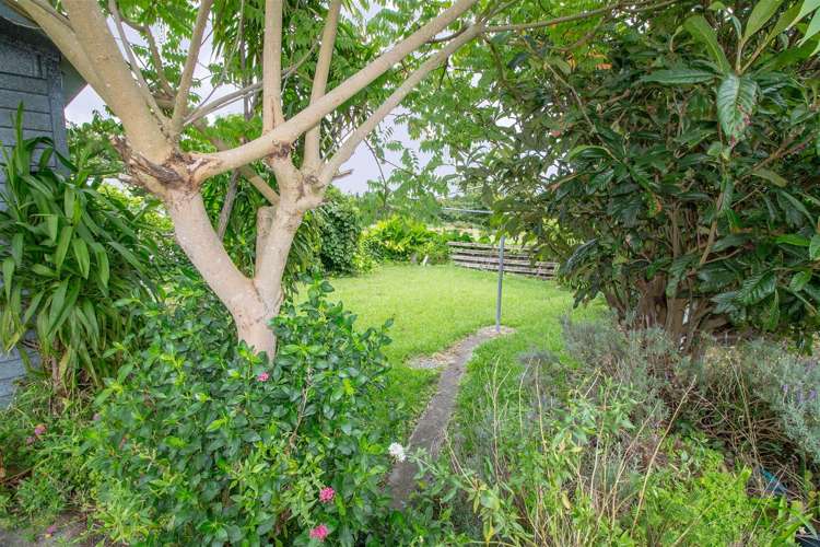 28 Gilchrist Street Te Aroha_12