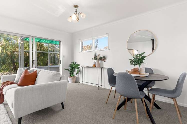 4 Balmoral Terrace Otumoetai_3