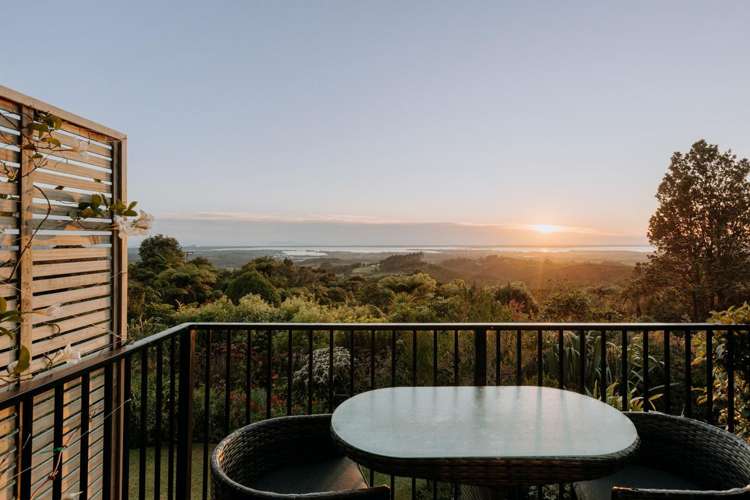 449B Lund Road Aongatete_22
