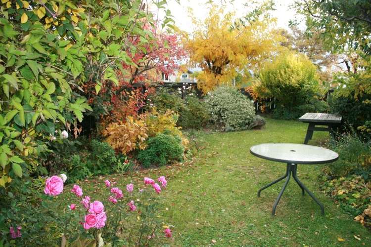 6 Rapuke Street Alexandra_19