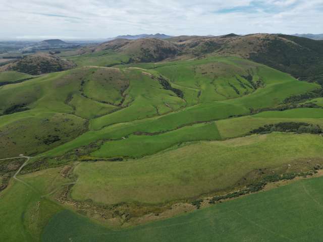 124 Strathearn Road Wairuna_1