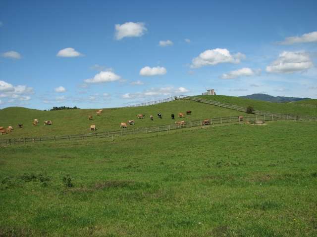 205 Gunn Road Waharoa_4