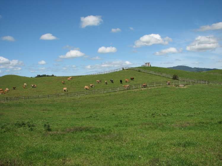 205 Gunn Road Waharoa_4