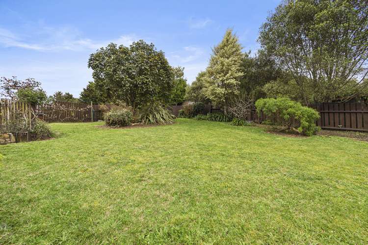 41 Prospect Avenue Tirau_25