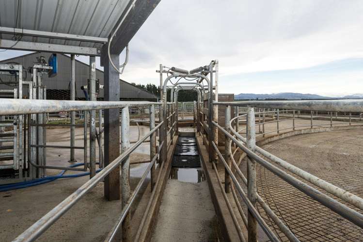 1444 Maronan Valetta Road Westerfield_19