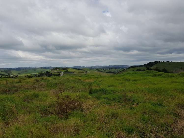 134 Heatley Road Whakapirau_10