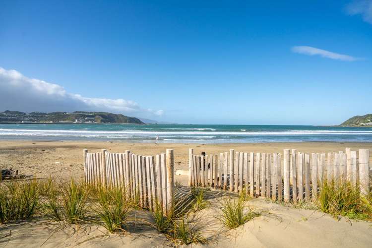 42C Apu Crescent Lyall Bay_16