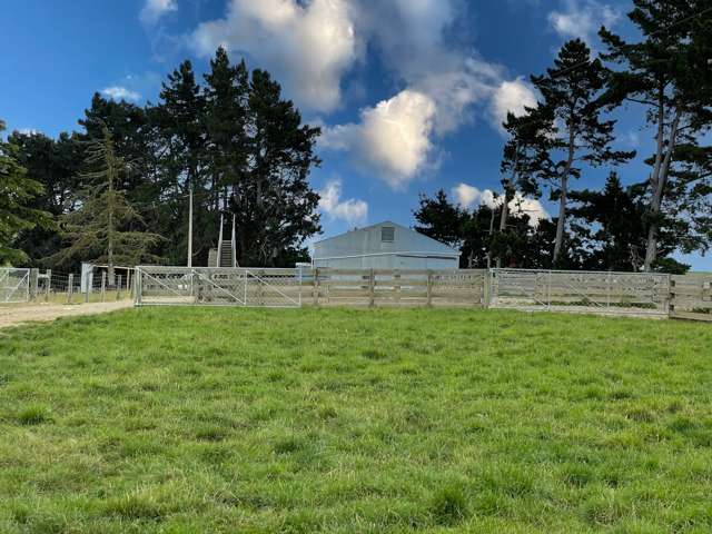 446 Skinner Road Clinton and Surrounds_4