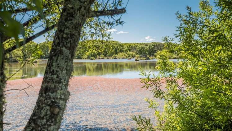 48a Kopuriki Road Murupara Surrounds_7