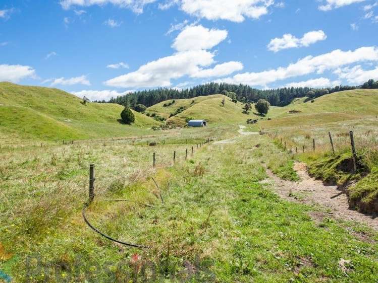 1788 Manawahe Road Manawahe_24