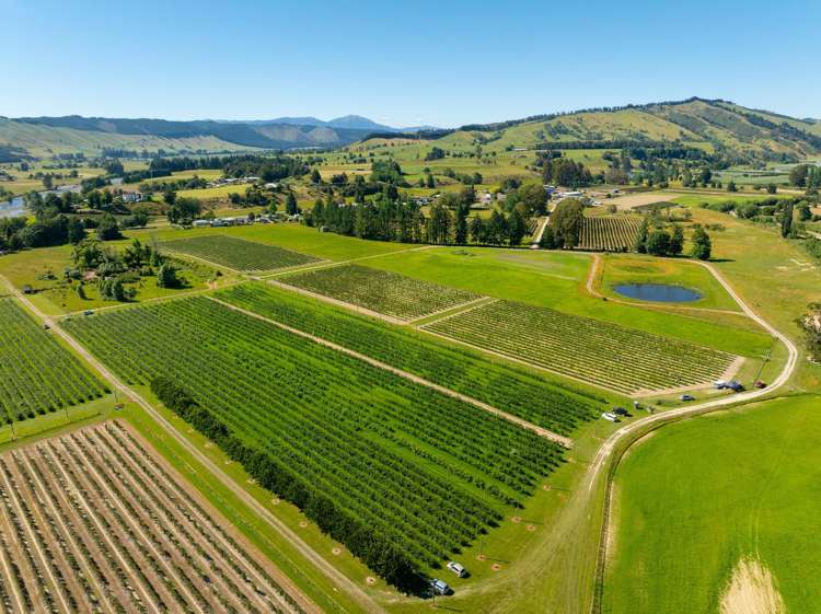 160 Tadmor Valley Road Tapawera_52