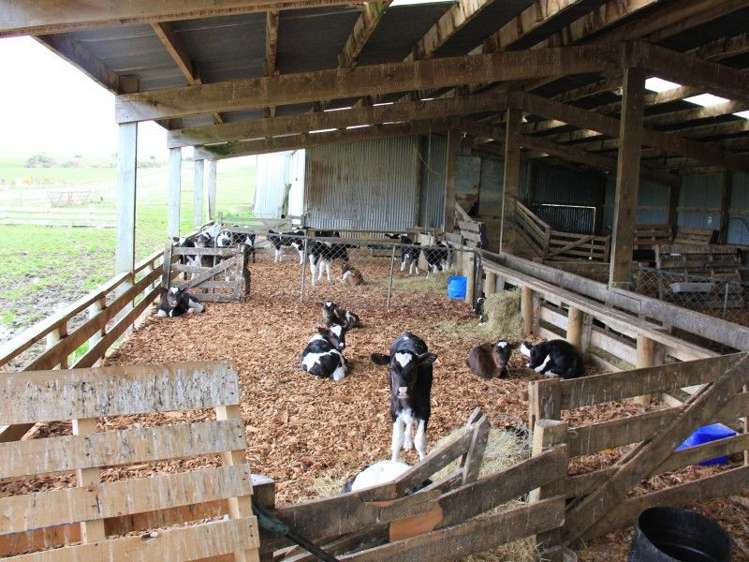 67 Pahia Round Hill Road Pahia_7