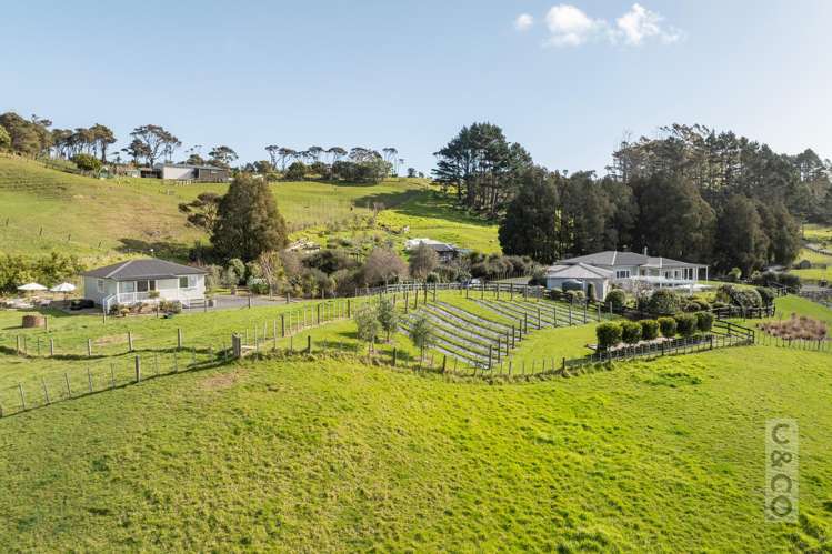 93 Alf Access Road Helensville_58
