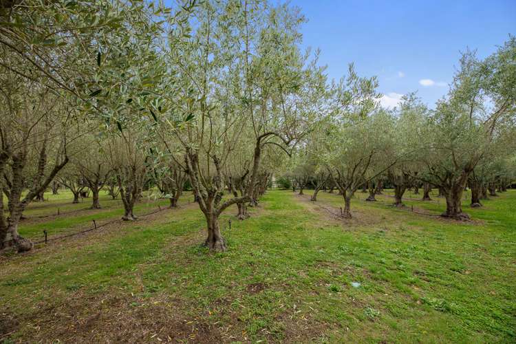 14 Beatrice Street Rarangi_4