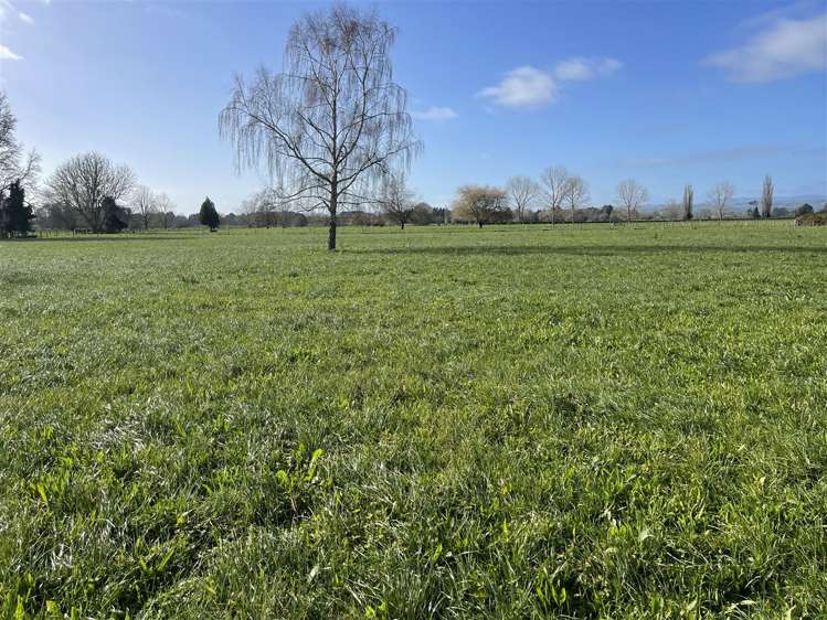 163C Old Te Kuiti Road Otorohanga_10